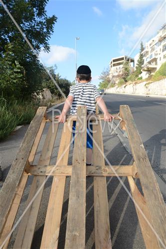 אסיפת עצים לל"ג בעומר