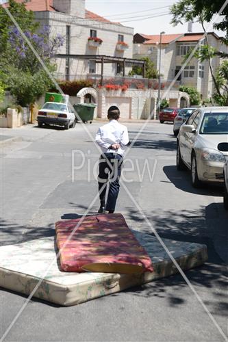 Collecting trees for Lag B'Omer