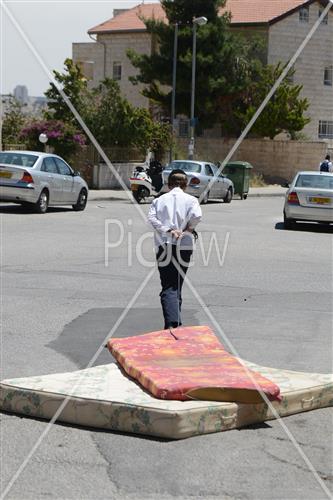 אסיפת עצים לל"ג בעומר