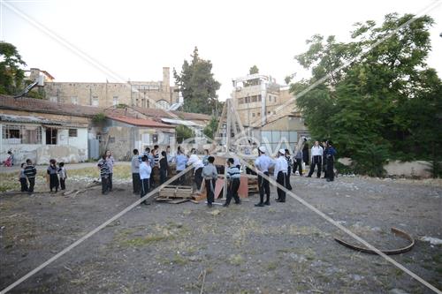 אסיפת עצים לל"ג בעומר