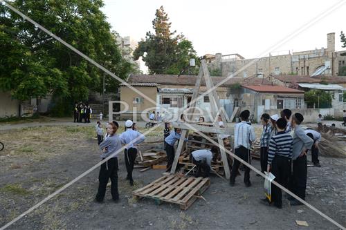 אסיפת עצים לל"ג בעומר