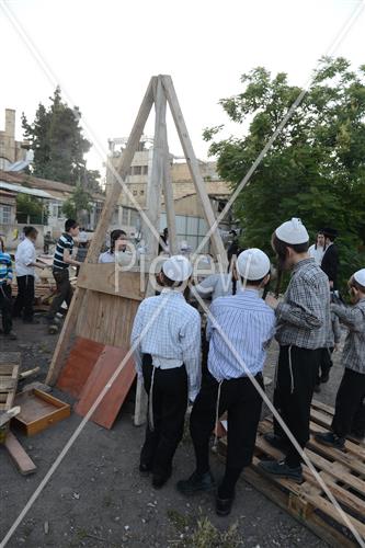 אסיפת עצים לל"ג בעומר