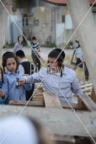 אסיפת עצים לל"ג בעומר