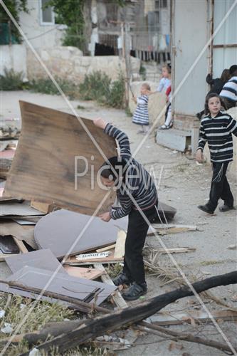 Collecting trees for Lag B'Omer