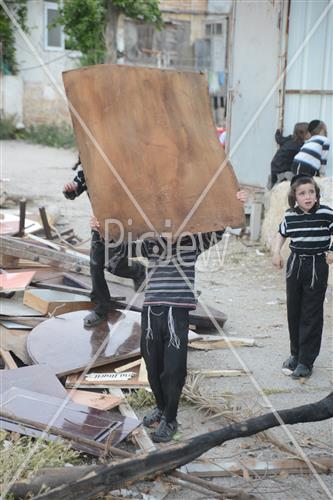 אסיפת עצים לל"ג בעומר