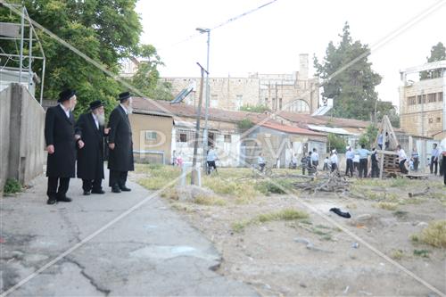 אסיפת עצים לל"ג בעומר