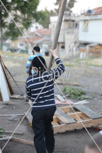 Collecting trees for Lag B'Omer