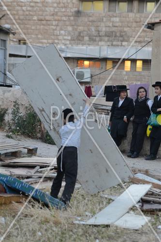 Collecting trees for Lag B'Omer