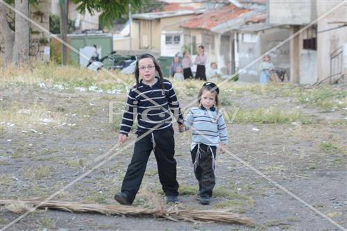 Collecting trees for Lag B'Omer