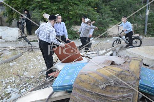 אסיפת עצים לל"ג בעומר