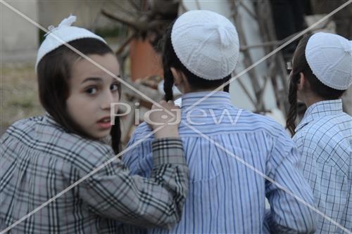 אסיפת עצים לל"ג בעומר