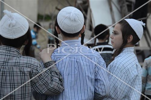 אסיפת עצים לל"ג בעומר