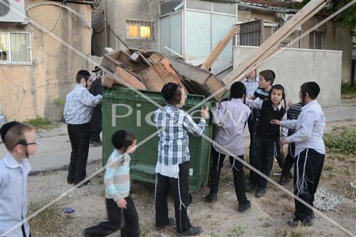 אסיפת עצים לל"ג בעומר