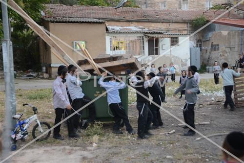 Collecting trees for Lag B'Omer