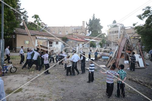 אסיפת עצים לל"ג בעומר