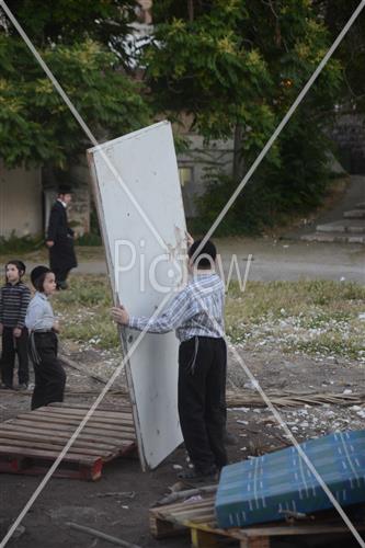 Collecting trees for Lag B'Omer