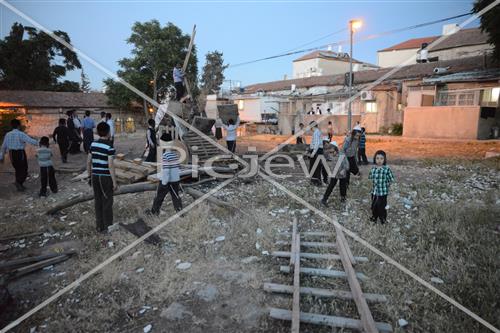 אסיפת עצים לל"ג בעומר