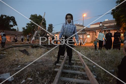 אסיפת עצים לל"ג בעומר