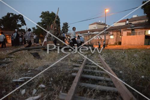 אסיפת עצים לל"ג בעומר