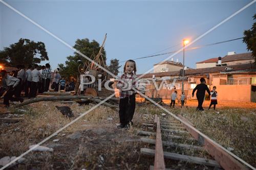 אסיפת עצים לל"ג בעומר