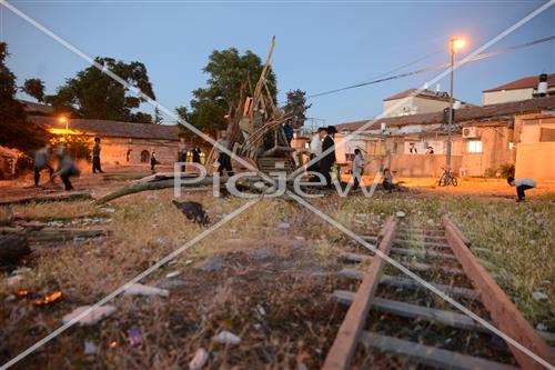 אסיפת עצים לל"ג בעומר