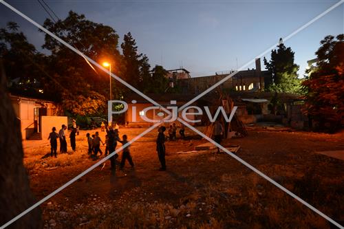 אסיפת עצים לל"ג בעומר
