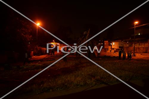 אסיפת עצים לל"ג בעומר