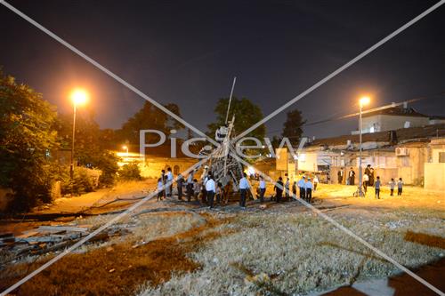 Collecting trees for Lag B'Omer