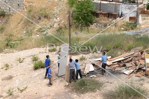 אסיפת עצים לל"ג בעומר