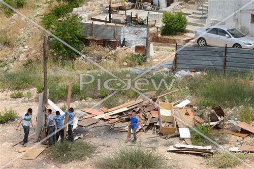 אסיפת עצים לל"ג בעומר