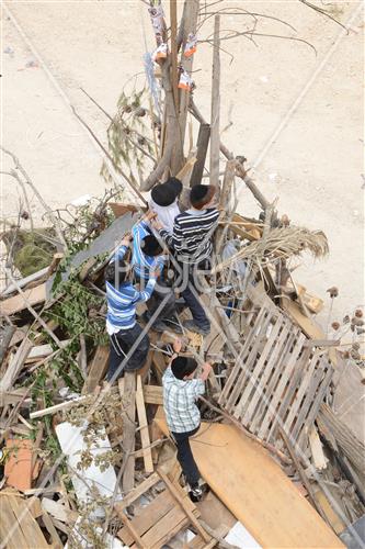 Collecting trees for Lag B'Omer