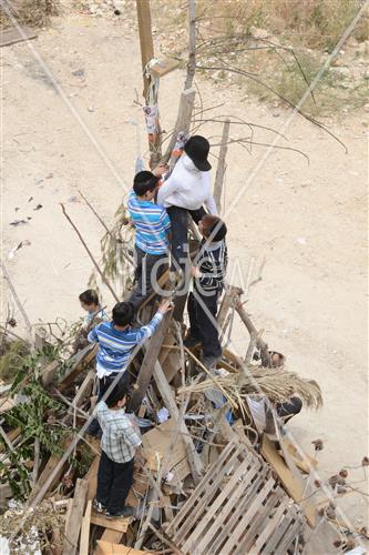 Collecting trees for Lag B'Omer