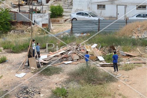 Collecting trees for Lag B'Omer