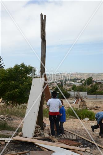 אסיפת עצים לל"ג בעומר