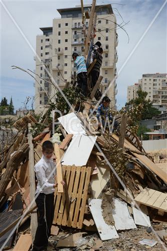 אסיפת עצים לל"ג בעומר