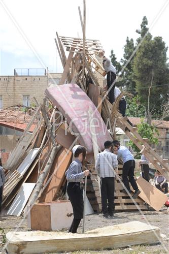 אסיפת עצים לל"ג בעומר