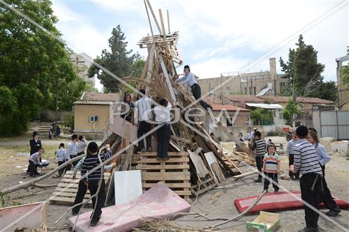 אסיפת עצים לל"ג בעומר