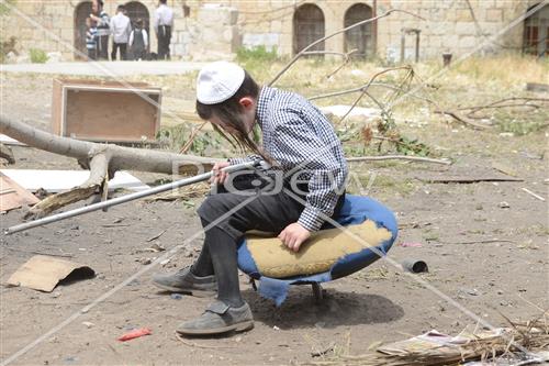 אסיפת עצים לל"ג בעומר