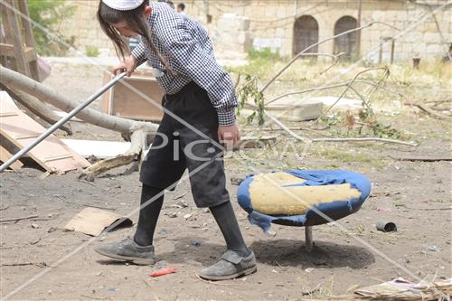 אסיפת עצים לל"ג בעומר