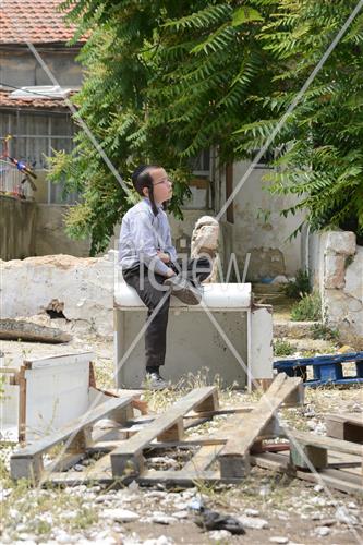 אסיפת עצים לל"ג בעומר