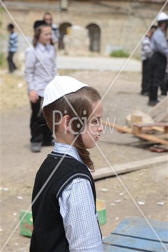 אסיפת עצים לל"ג בעומר