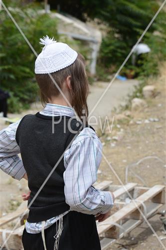 אסיפת עצים לל"ג בעומר