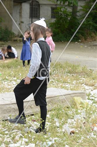 אסיפת עצים לל"ג בעומר