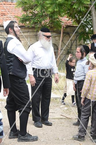 אסיפת עצים לל"ג בעומר
