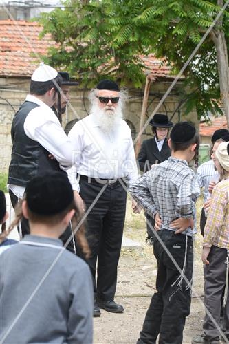 אסיפת עצים לל"ג בעומר