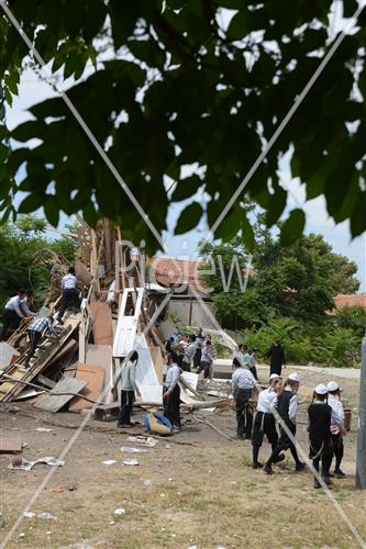 אסיפת עצים לל"ג בעומר