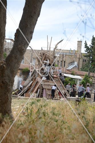 אסיפת עצים לל"ג בעומר