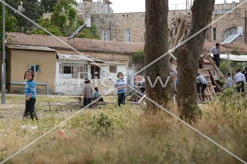 אסיפת עצים לל"ג בעומר