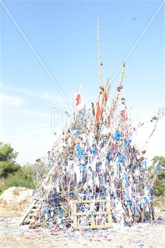 אסיפת עצים לל"ג בעומר