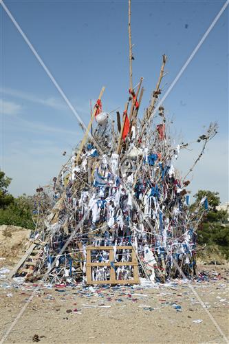 Collecting trees for Lag B'Omer